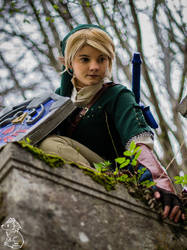 Link [Twilight Princess]