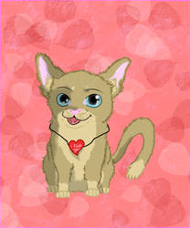 Happy Valentines Day-Meow!