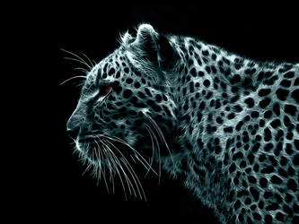 Leopard background