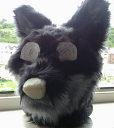 Going on with the furring