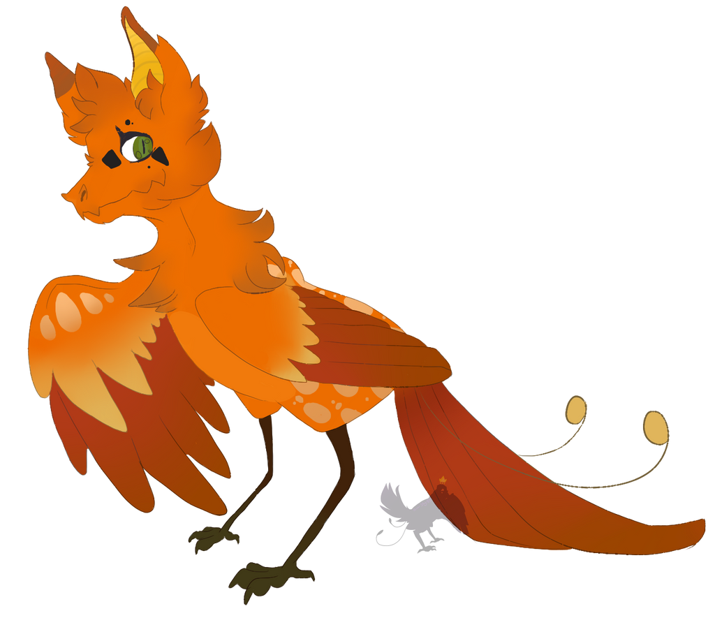Pumpkin Patch