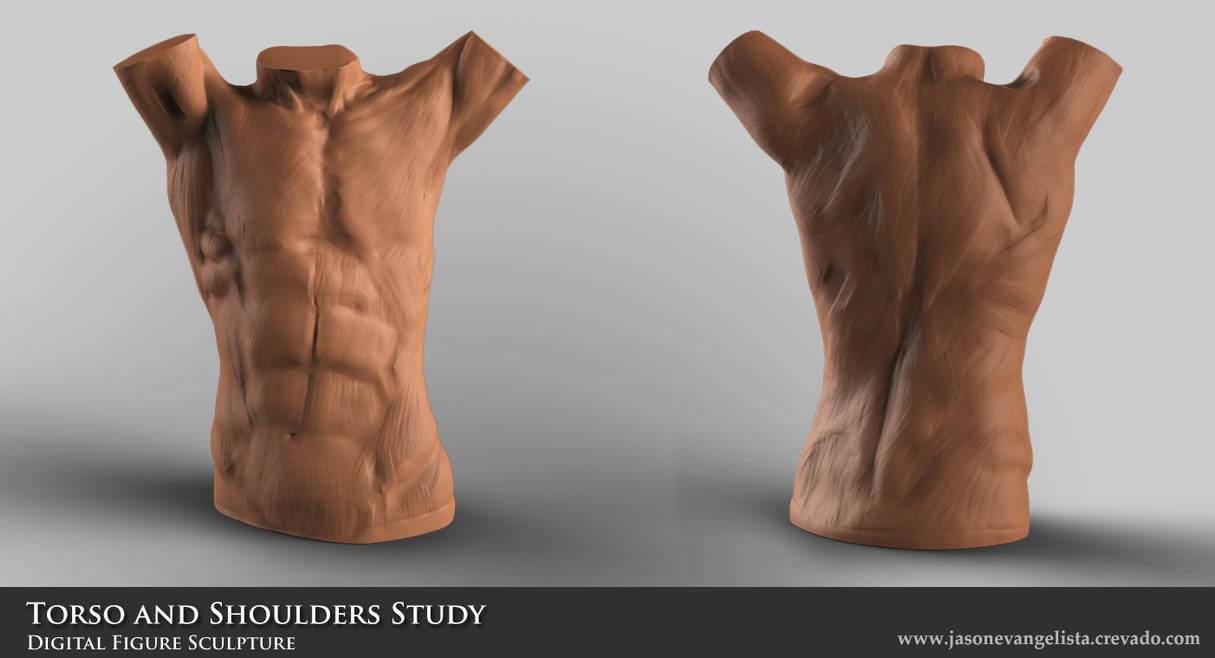 Male Torso and Shoulder Study by jasonevangelista on DeviantArt