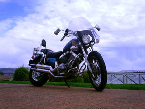 2013: Yamaha Virago XV535 - Down by the Wharf