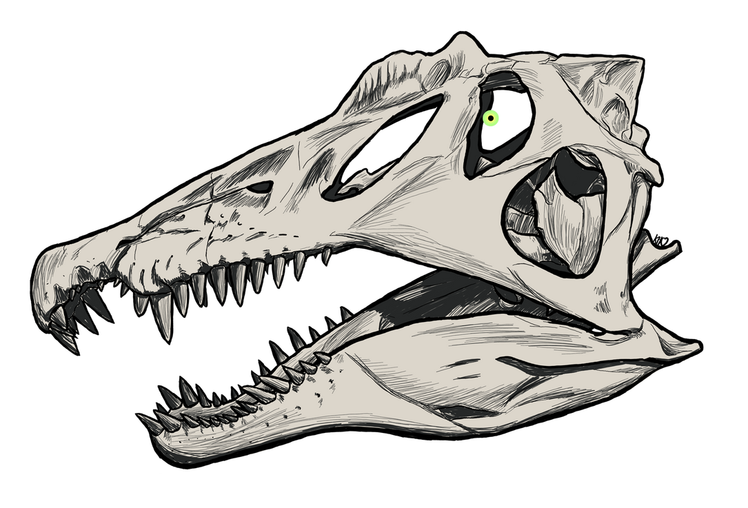 Inktober Catchup 20 Spinosaurus Skull by Girasolsreflection on
