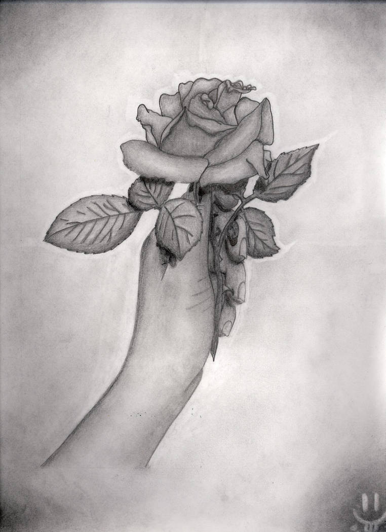Sketch Hand Holding A Rose Drawing ~ Drawing