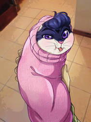 josuke purrito