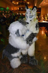 Eurofurence 19 Magdeburg Germany 2013