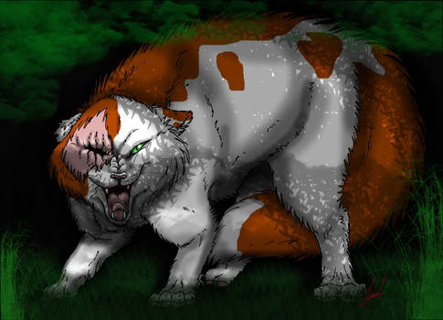 Brightheart of Thunder Clan