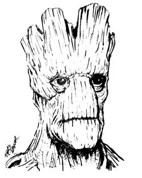 Groot