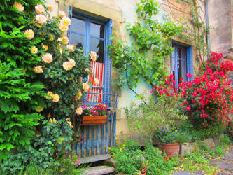 The Garden Door