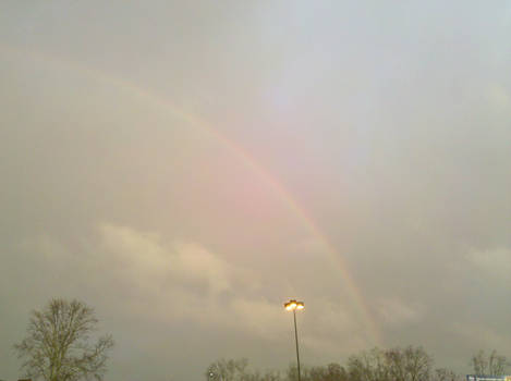 Rainbow 3