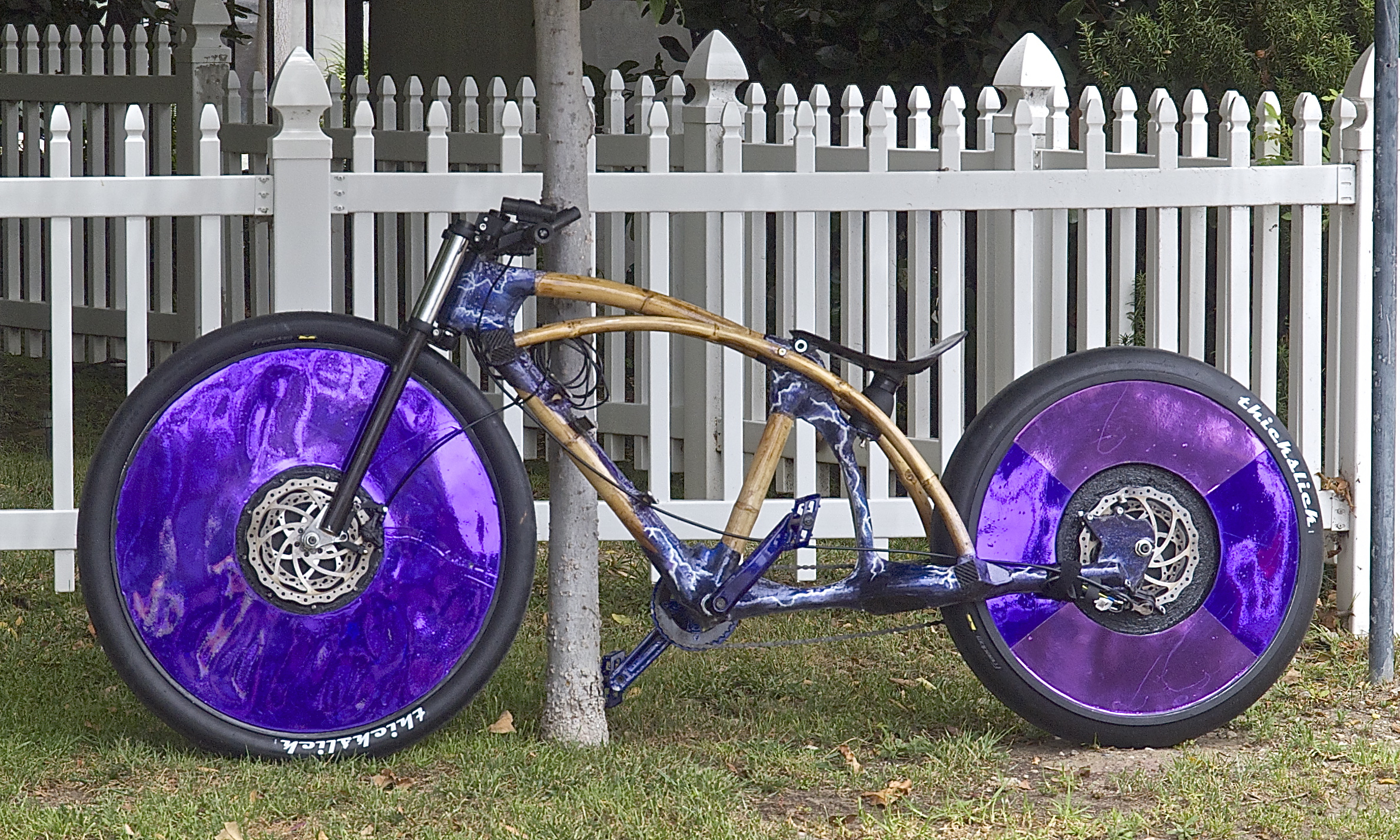 P8098026 Ciclavia Bamboo Composite Bike