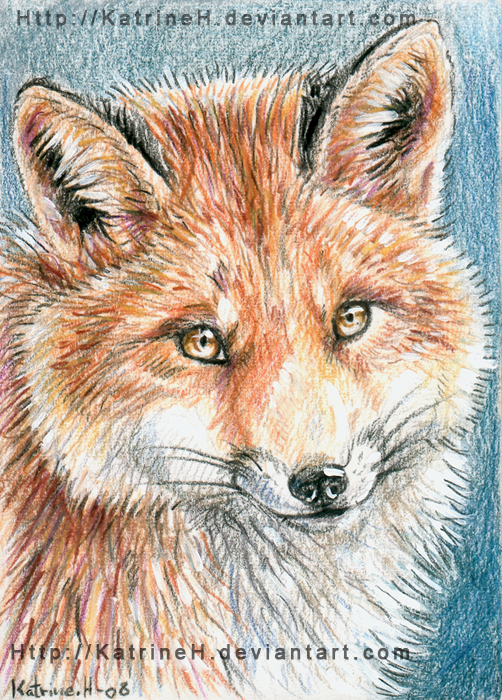 ACEO red fox