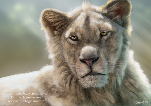 Lion portrait 2013