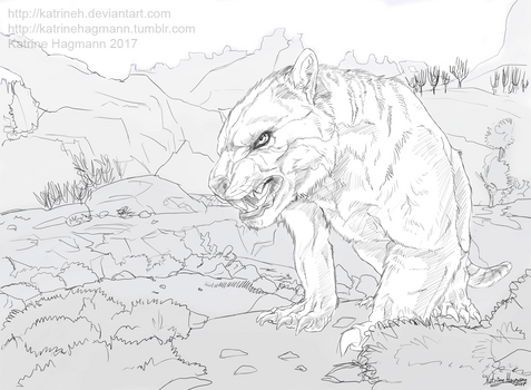 Thylacoleo