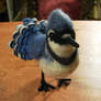 Needle Felted Blue Jay