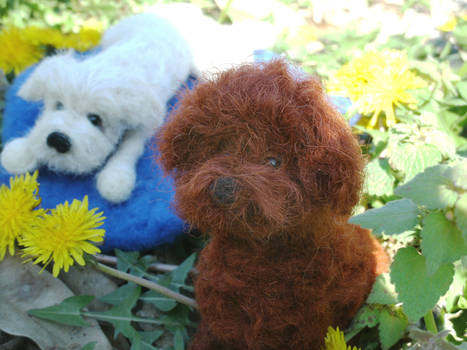 Needle Felted Dogs