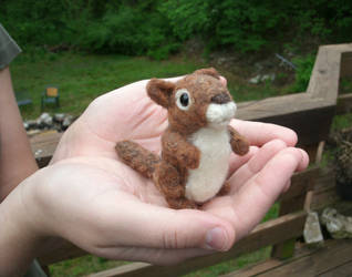 Tiny Chunky Chipmunk