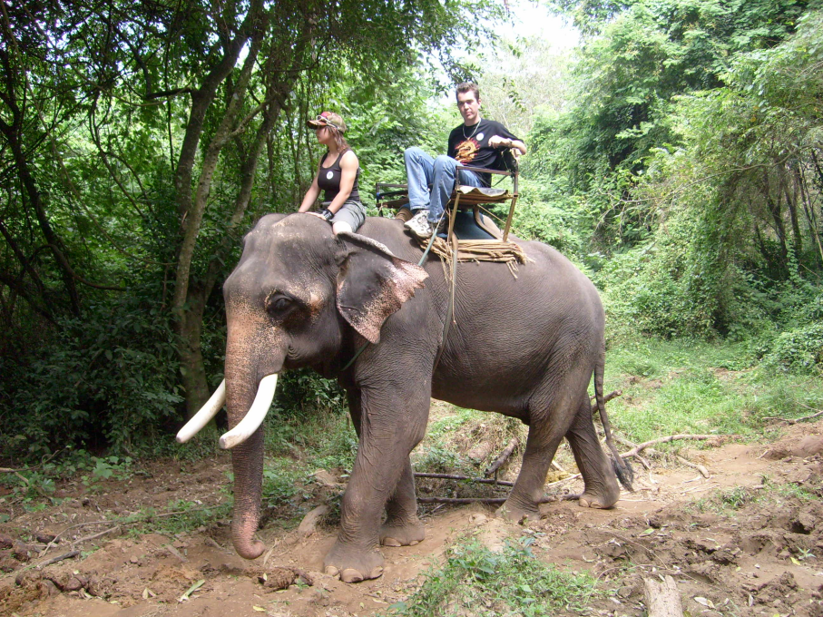 Elephant ride