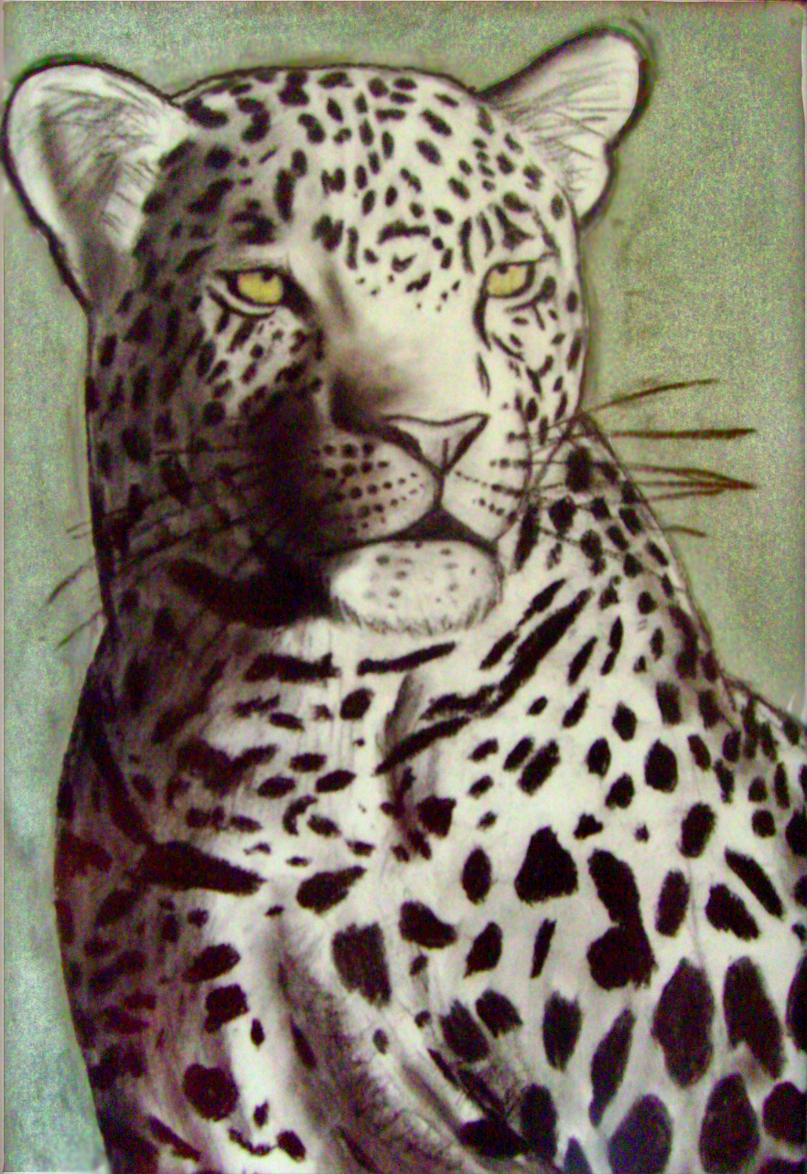 Leopard