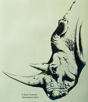 Rhino Stencil