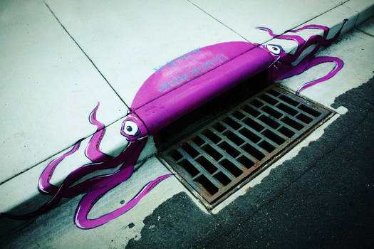 Storm Drain Octopus