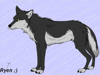 My Wolf Character Ryen