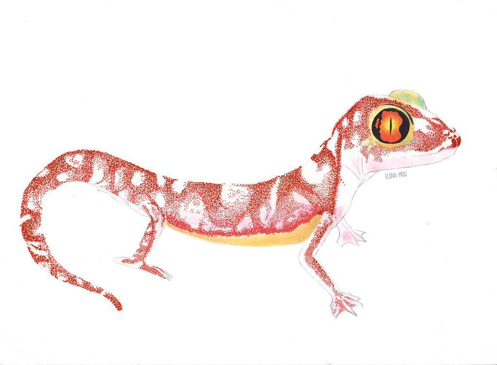 Gecko Deviantart Gecko by ElenaMizu on DeviantArt