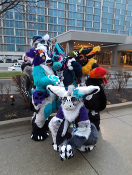 MFF 2021 Picture 139