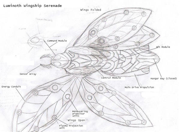 Luminoth 'Wingship'