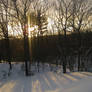OMDB A sunset