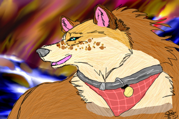 Deviantart Coy Coy by wildwolfspiret on DeviantArt