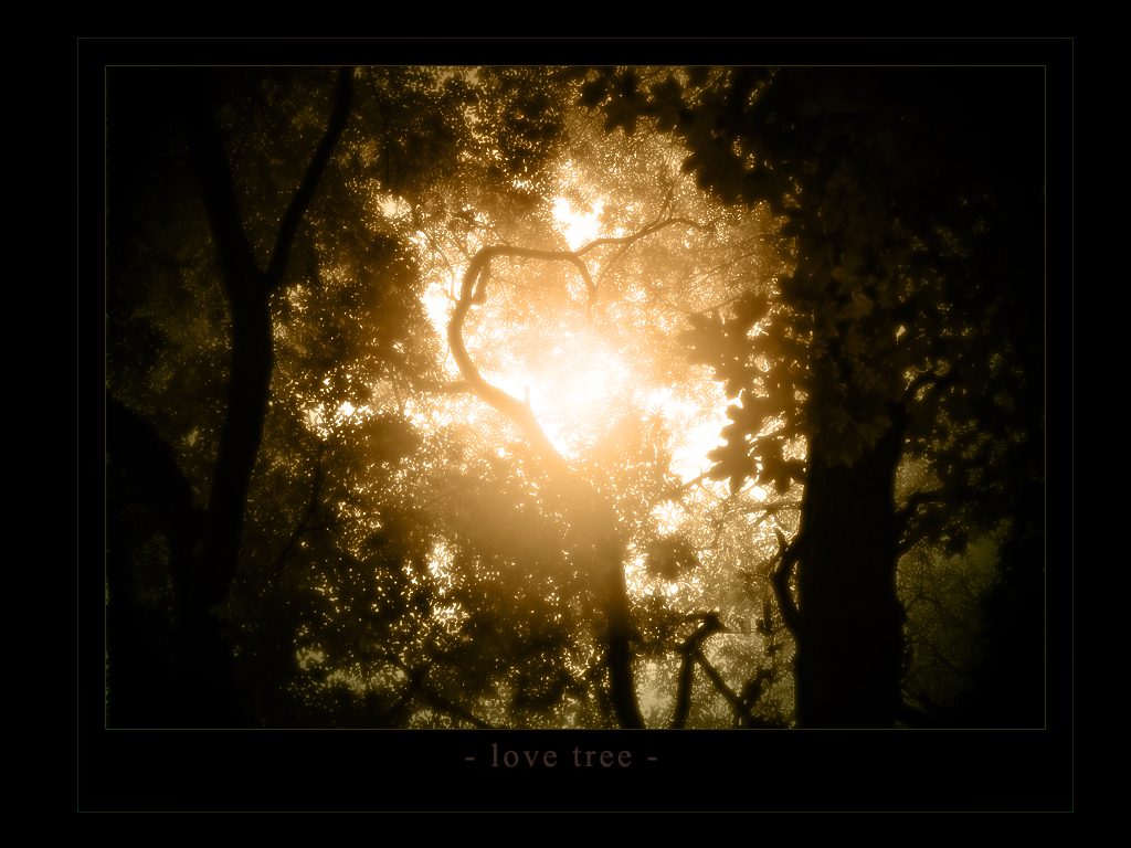 Love tree