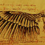 Da Vinci's Raven