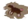 Ambrosia Cave Drawing