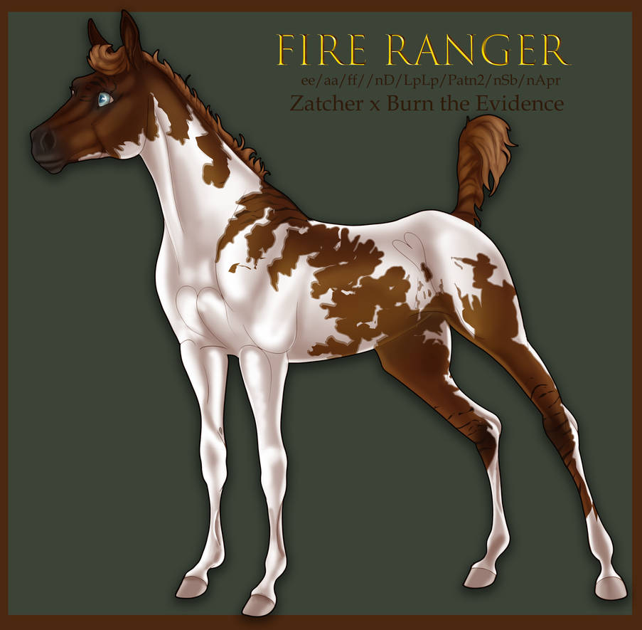 KSCR Fire Ranger by Rendou-Animated on DeviantArt