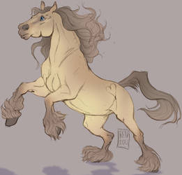 Irish Cob Redraw