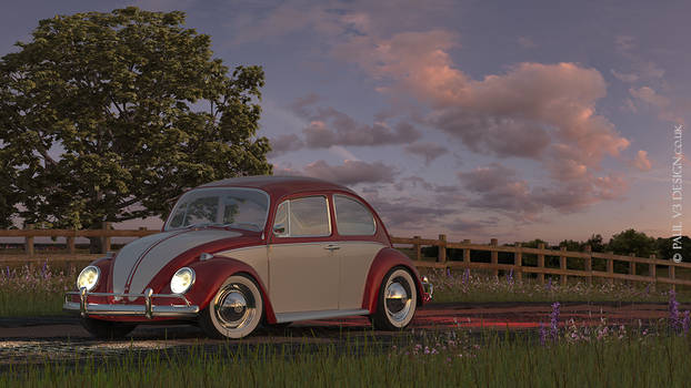 WV Bug 68' - Countryside