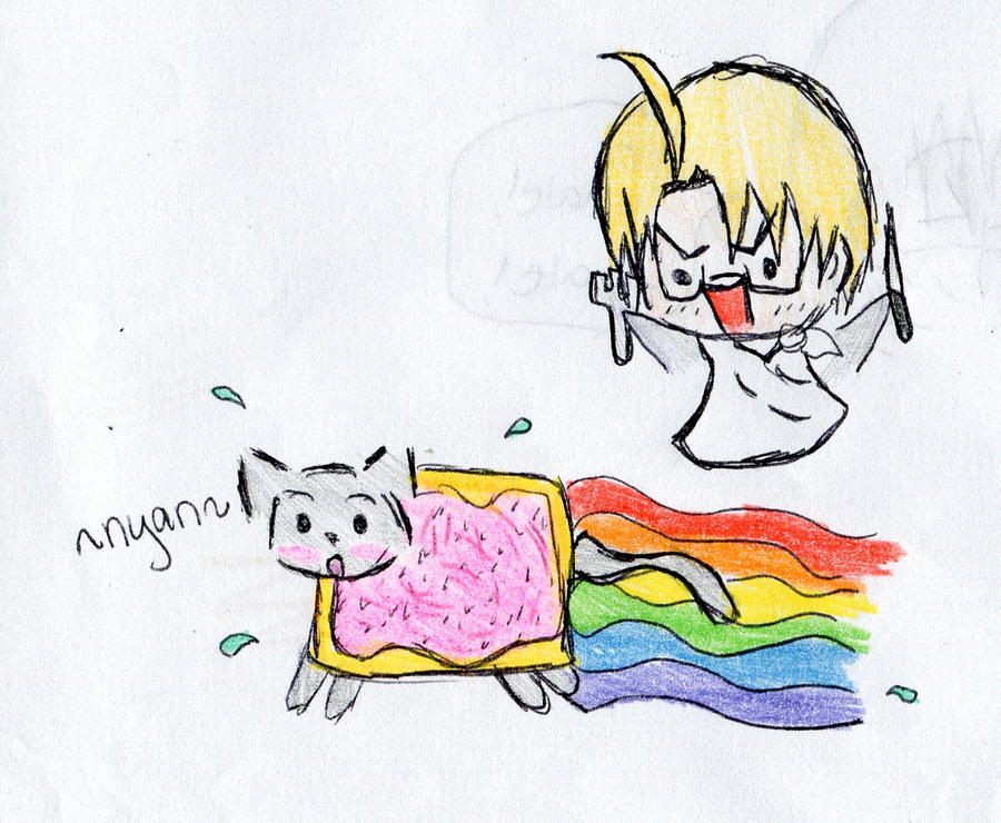 America Vs Nyan Cat