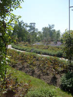 Praha-Petrin: Garden