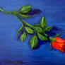 A Rose - Oil