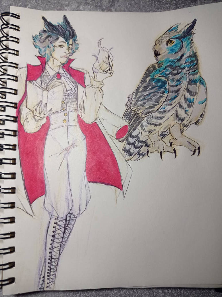 owl ocs by finfe on DeviantArt