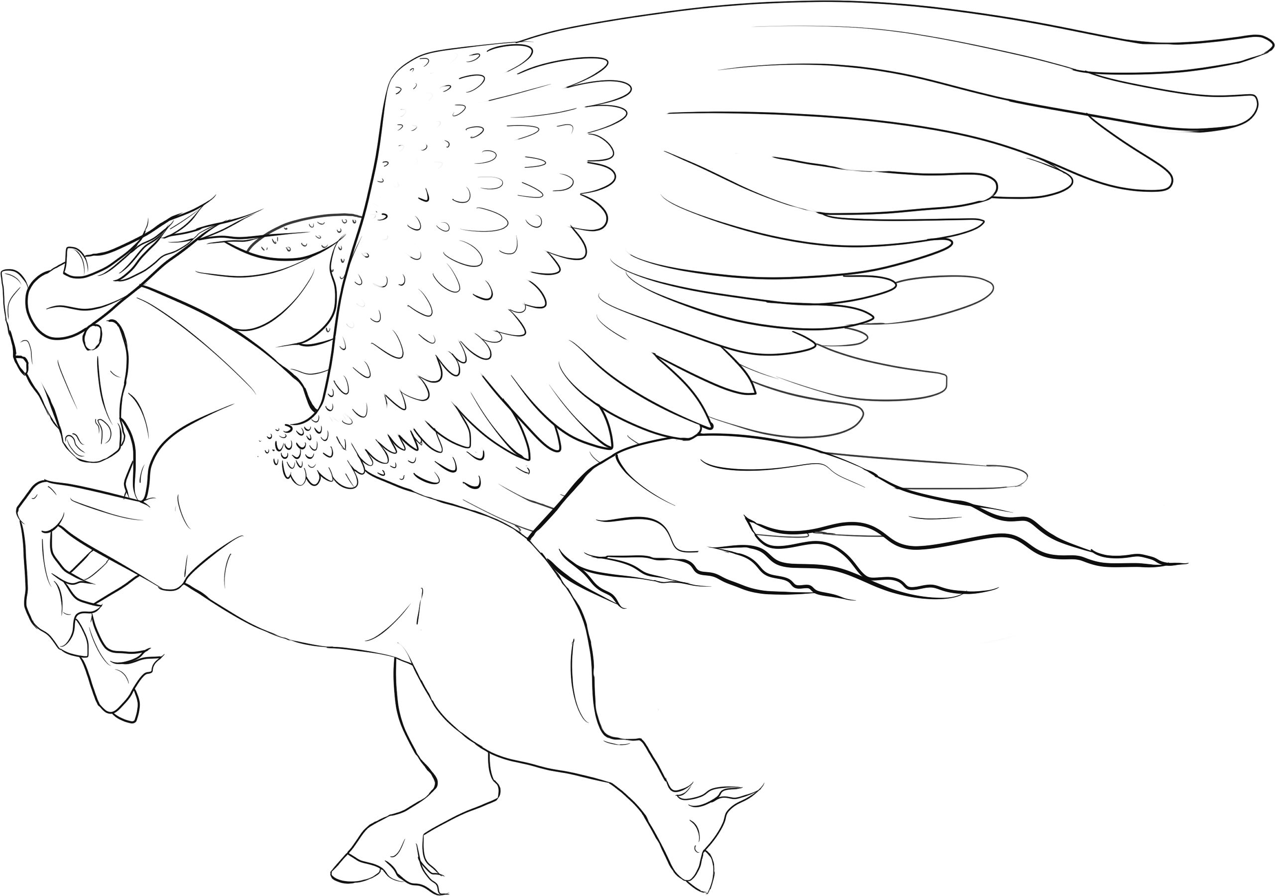 Free pegasus line art