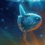Sunfish Mola