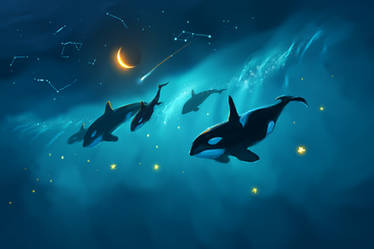 Orcas