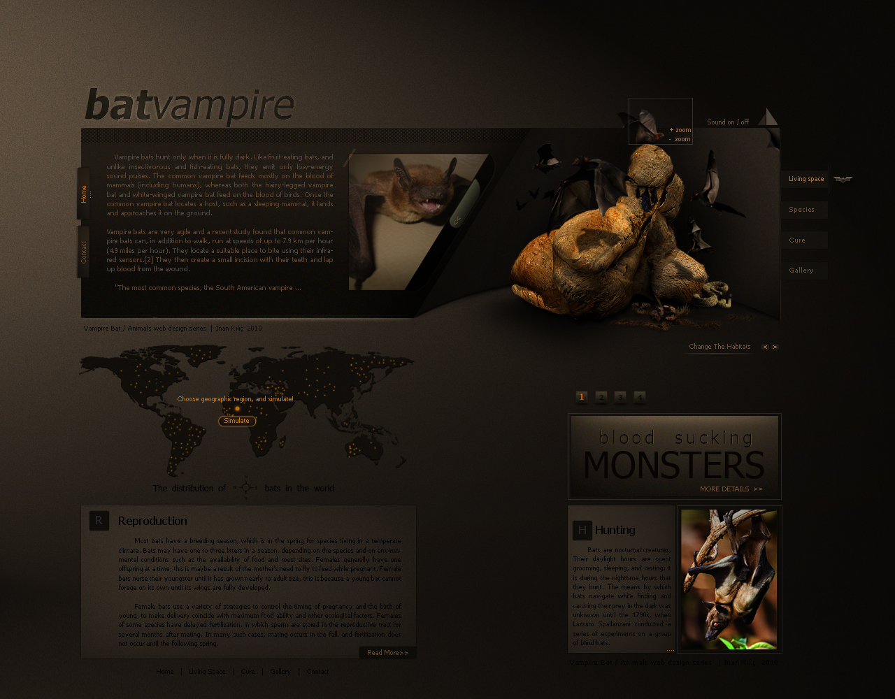 Animals web design series BAT