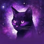 Purple Cat Galaxy