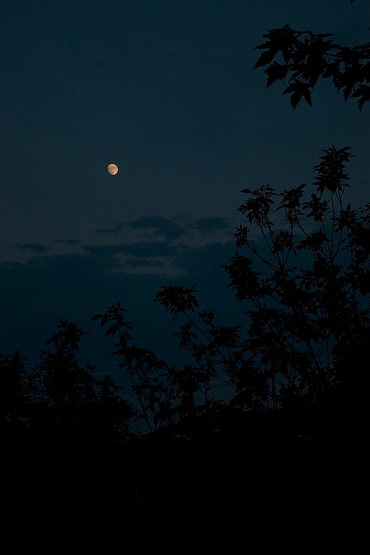 Moon over Montreal