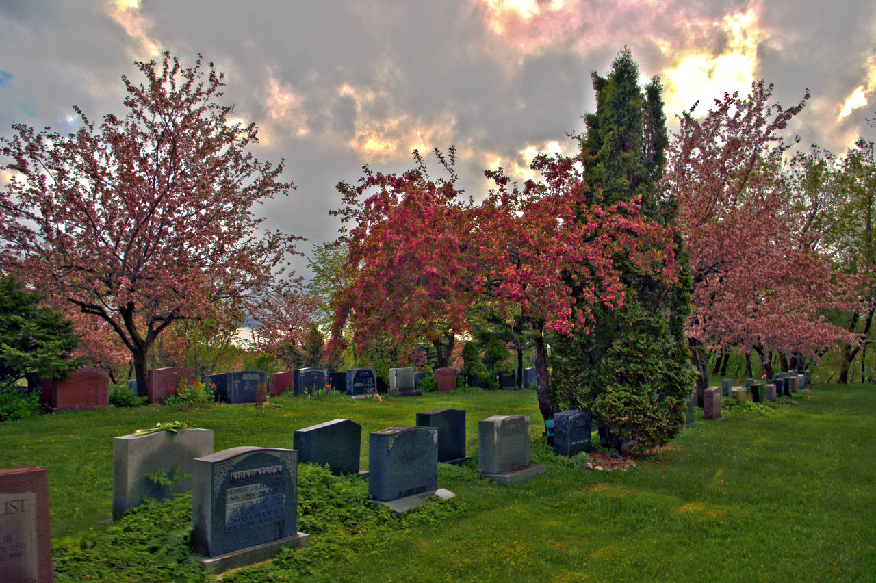 Spring in the Cemetery