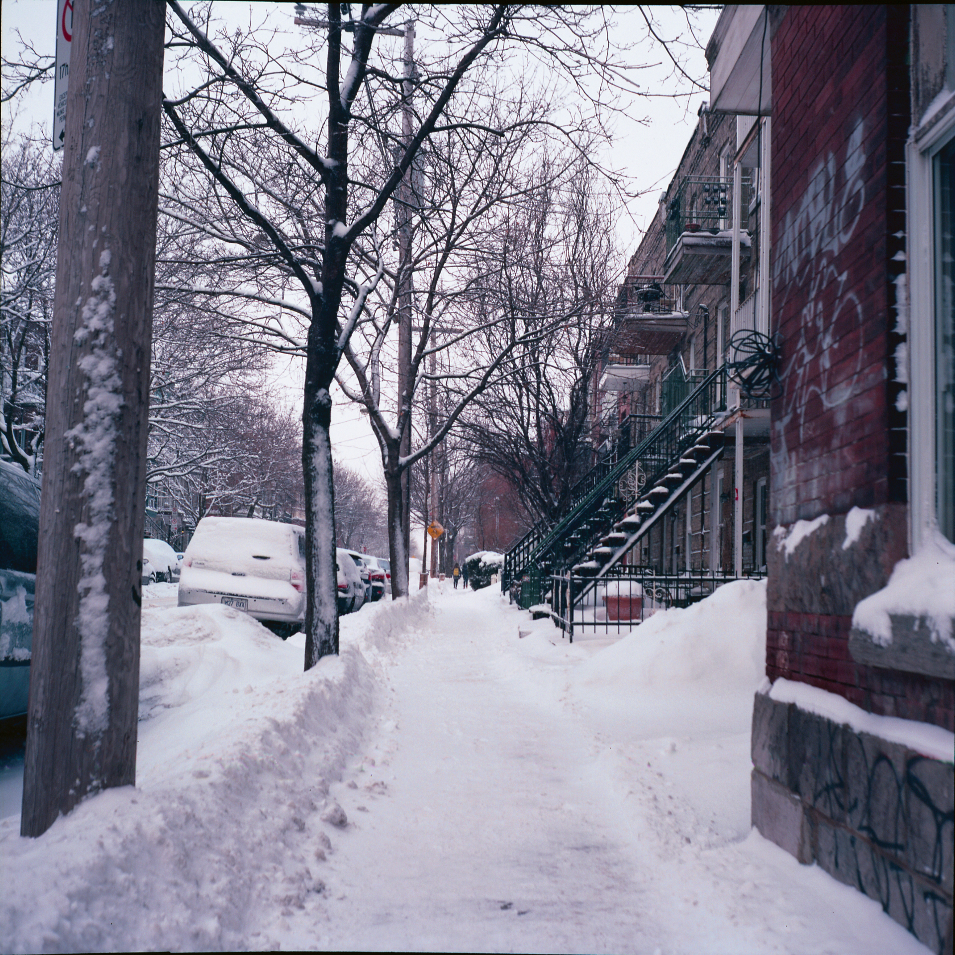C'est l'hiver !